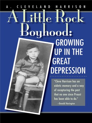 cover image of A Little Rock Boyhood